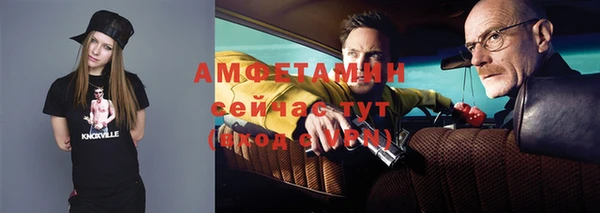 мдпв Анива