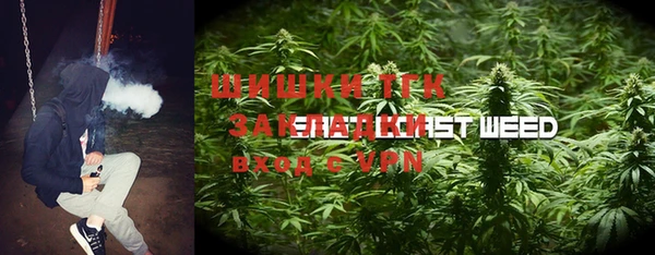 хмурый Апатиты