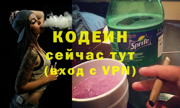 мдпв Анива